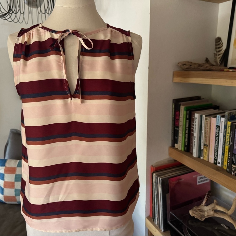 Banana Republic Striped Sleeveless Top - Burgundy and Pink